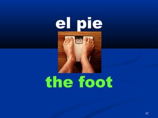 57
el pie
the foot
 