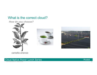 23© 2016 Pivotal Software, Inc. All rights reserved.
Cloud Native Power Lunch Series
What is the correct cloud?
How do you choose?
camellia sinensis
 