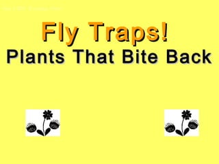 Our CIRC Reading Story




              Fly Traps!
 Plants That Bite Back
 
