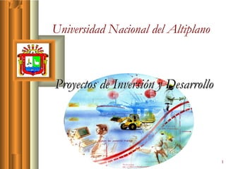 Universidad Nacional del Altiplano

Proyectos de Inversión y Desarrollo

1

 