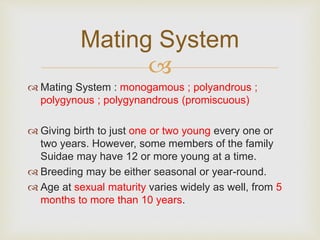 
 Mating System : monogamous ; polyandrous ;
polygynous ; polygynandrous (promiscuous)
 Giving birth to just one or two young every one or
two years. However, some members of the family
Suidae may have 12 or more young at a time.
 Breeding may be either seasonal or year-round.
 Age at sexual maturity varies widely as well, from 5
months to more than 10 years.
Mating System
 