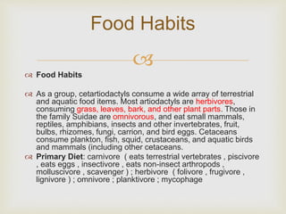 
 Food Habits
 As a group, cetartiodactyls consume a wide array of terrestrial
and aquatic food items. Most artiodactyls are herbivores,
consuming grass, leaves, bark, and other plant parts. Those in
the family Suidae are omnivorous, and eat small mammals,
reptiles, amphibians, insects and other invertebrates, fruit,
bulbs, rhizomes, fungi, carrion, and bird eggs. Cetaceans
consume plankton, fish, squid, crustaceans, and aquatic birds
and mammals (including other cetaceans.
 Primary Diet: carnivore ( eats terrestrial vertebrates , piscivore
, eats eggs , insectivore , eats non-insect arthropods ,
molluscivore , scavenger ) ; herbivore ( folivore , frugivore ,
lignivore ) ; omnivore ; planktivore ; mycophage
Food Habits
 