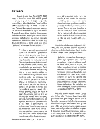 Amazônia: Ci. & Desenv., Belém, v. 6, n. 12, jan./jun. 2011. 128
2 HISTÓRICO
O padre jesuíta João Daniel (1722-1776)
viveu na Amazônia entre 1741 a 1757, quando
foi preso, no período da caça aos jesuítas
promovida por Sebastião José de Carvalho e Melo,
o Marquês do Pombal (1699-1782) e recambiado
para Portugal. Na prisão, até sua morte, escreveu
um enorme tratado sobre a região amazônica,
Tesouro descoberto no máximo rio Amazonas,
onde fez detalhadas observações sobre as plantas,
animais e os habitantes que viviam na região.
Neste livro menciona sobre o caruru, cuja
descrição identifica-se como sendo a do jambu
[Spilanthes oleracea var. fusca (Lam.) DC.]:
A verdura de que mais usam no estado
do Pará são umas ervas a que chamam
caruru, nome genérico para todas as
ervas mais usadas, e comestíveis
naquele estado,mas mais propriamente
há duas espécies na verdade estimáveis:
a uma podemos chamar caruru doce
pela distinção que tem do outro. É este
caruru na verdade doce,porque ou seja
por si só em espernegados, ou
misturado com os legumes lhes dá um
excelente gosto; é tão tenra esta erva,
e tão mimosa, que vence o tenro da
alface, e o mimoso dos espinafres, e
mais verduras; de sorte que metida na
panela em poucos minutos está
cozinhada. A segunda espécie não é
menos galante, porque, em lugar do
doce da primeira espécie, tem um
picante, que não só lhe dá sua graça
por si só, mas também a comunica aos
legumes, e carne, com que se cozinha:
a sua flor é semelhante aos
malmequeres.Tanto deste caruru como
do primeiro se fazem muito frescas e
gostosas saladas; e muito mais o são
se se misturam.E sendo tão estimáveis,
ninguém os cultiva hortenses, nem é
necessário, porque pelas roças da
maniba, e mais searas, é a erva mais
ordinária, que nasce em tanta
abundância, que preciso arrancá-los,
para não afrontarem, nem afogarem as
searas. Com a mesma abundância
crescem sem cultura outras ervas como
são os espinafres, bredos, beldoegas e
muitas outras de que naquele estado
se não faz caso (DANIEL, 2004, v.1,
p.432).
O botânico João Barbosa Rodrigues (1842-
1909), em 1894, quando abordou as plantas
existentes no Jardim Botânico do Rio de Janeiro
discorreu sobre o jambu da seguinte forma:
Spilanthes oleracea Linn. Nome vulgar:
jambu-açu, agrião-do-pará. Floração
em outubro e novembro. Planta anual,
de hastes tenras,ramosas diffusas,com
folhas oppostas, espessas, pecioladas,
dentadas,cordiformes,dando capítulos
terminaes, conicos, pedunculados, com
o involucro em duas series. Flores
amarello de ouro. Os capítulos são
muito acres, de um sabor que queima,
produzindo muita salivação e tremor na
língua.A alcoolatura dos capítulos é um
bom odontalgico. As folhas comem-se
ensopadas (RODRIGUES, 1894).
O escritor alemão Patrick Süskind (1949),
autor do best seller“Perfume”,lançado em 1985,
que inventou o personagem Jean-Baptiste
Grenouille,com a capacidade de criar aromas que
transmitiam atração, menosprezo, nojo, prazer,
amor e ódio,não teria um cenário mais apropriado
para a sua transfiguração do que Belém, na época
do Círio, com o inconfundível aroma do pato-no-
tucupi, maniçoba e tacacá a se espalhar pelos
quatro quadrantes da cidade (HOMMA, 1999).
 