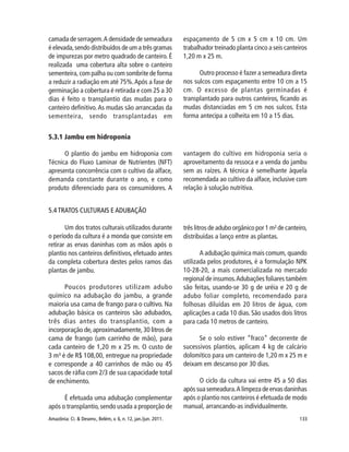 133Amazônia: Ci. & Desenv., Belém, v. 6, n. 12, jan./jun. 2011.
5.3.1 Jambu em hidroponia
O plantio do jambu em hidroponia com
Técnica do Fluxo Laminar de Nutrientes (NFT)
apresenta concorrência com o cultivo da alface,
demanda constante durante o ano, e como
produto diferenciado para os consumidores. A
vantagem do cultivo em hidroponia seria o
aproveitamento da ressoca e a venda do jambu
sem as raízes. A técnica é semelhante àquela
recomendada ao cultivo da alface, inclusive com
relação à solução nutritiva.
camada de serragem.A densidade de semeadura
é elevada,sendo distribuídos de um a três gramas
de impurezas por metro quadrado de canteiro. É
realizada uma cobertura alta sobre o canteiro
sementeira, com palha ou com sombrite de forma
a reduzir a radiação em até 75%.Após a fase de
germinação a cobertura é retirada e com 25 a 30
dias é feito o transplantio das mudas para o
canteiro definitivo.As mudas são arrancadas da
sementeira, sendo transplantadas em
espaçamento de 5 cm x 5 cm x 10 cm. Um
trabalhador treinado planta cinco a seis canteiros
1,20 m x 25 m.
Outro processo é fazer a semeadura direta
nos sulcos com espaçamento entre 10 cm a 15
cm. O excesso de plantas germinadas é
transplantado para outros canteiros, ficando as
mudas distanciadas em 5 cm nos sulcos. Esta
forma antecipa a colheita em 10 a 15 dias.
5.4 TRATOS CULTURAIS E ADUBAÇÃO
Um dos tratos culturais utilizados durante
o período da cultura é a monda que consiste em
retirar as ervas daninhas com as mãos após o
plantio nos canteiros definitivos, efetuado antes
da completa cobertura destes pelos ramos das
plantas de jambu.
Poucos produtores utilizam adubo
químico na adubação do jambu, a grande
maioria usa cama de frango para o cultivo. Na
adubação básica os canteiros são adubados,
três dias antes do transplantio, com a
incorporação de,aproximadamente,30 litros de
cama de frango (um carrinho de mão), para
cada canteiro de 1,20 m x 25 m. O custo de
3 m³ é de R$ 108,00, entregue na propriedade
e corresponde a 40 carrinhos de mão ou 45
sacos de ráfia com 2/3 de sua capacidade total
de enchimento.
É efetuada uma adubação complementar
após o transplantio, sendo usada a proporção de
três litros de adubo orgânico por 1 m² de canteiro,
distribuídas a lanço entre as plantas.
A adubação química mais comum, quando
utilizada pelos produtores, é a formulação NPK
10-28-20, a mais comercializada no mercado
regional de insumos.Adubações foliares também
são feitas, usando-se 30 g de uréia e 20 g de
adubo foliar completo, recomendado para
folhosas diluídas em 20 litros de água, com
aplicações a cada 10 dias. São usados dois litros
para cada 10 metros de canteiro.
Se o solo estiver “fraco” decorrente de
sucessivos plantios, aplicam 4 kg de calcário
dolomítico para um canteiro de 1,20 m x 25 m e
deixam em descanso por 30 dias.
O ciclo da cultura vai entre 45 a 50 dias
após sua semeadura.A limpeza de ervas daninhas
após o plantio nos canteiros é efetuada de modo
manual, arrancando-as individualmente.
 