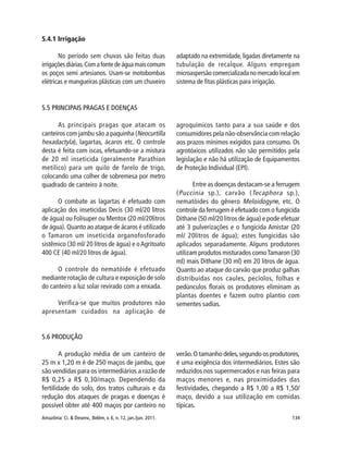 Amazônia: Ci. & Desenv., Belém, v. 6, n. 12, jan./jun. 2011. 134
5.5 PRINCIPAIS PRAGAS E DOENÇAS
As principais pragas que atacam os
canteiros com jambu são a paquinha (Neocurtilla
hexadactyla), lagartas, ácaros etc. O controle
desta é feita com iscas, efetuando-se a mistura
de 20 ml inseticida (geralmente Parathion
metilico) para um quilo de farelo de trigo,
colocando uma colher de sobremesa por metro
quadrado de canteiro à noite.
O combate as lagartas é efetuado com
aplicação dos inseticidas Decis (30 ml/20 litros
de água) ou Folisuper ou Mentox (20 ml/20litros
de água). Quanto ao ataque de ácaros é utilizado
o Tamaron um inseticida organofosforado
sistêmico (30 ml/ 20 litros de água) e oAgritoato
400 CE (40 ml/20 litros de água).
O controle do nematóide é efetuado
mediante rotação de cultura e exposição de solo
do canteiro a luz solar revirado com a enxada.
Verifica-se que muitos produtores não
apresentam cuidados na aplicação de
agroquímicos tanto para a sua saúde e dos
consumidores pela não-observância com relação
aos prazos mínimos exigidos para consumo. Os
agrotóxicos utilizados não são permitidos pela
legislação e não há utilização de Equipamentos
de Proteção Individual (EPI).
Entre as doenças destacam-se a ferrugem
(Puccinia sp.), carvão (Tecaphora sp.),
nematóides do gênero Meloidogyne, etc. O
controle da ferrugem é efetuado com o fungicida
Dithane (50 ml/20 litros de água) e pode efetuar
até 3 pulverizações e o fungicida Amistar (20
ml/ 20litros de água); estes fungicidas são
aplicados separadamente. Alguns produtores
utilizam produtos misturados comoTamaron (30
ml) mais Dithane (30 ml) em 20 litros de água.
Quanto ao ataque do carvão que produz galhas
distribuídas nos caules, pecíolos, folhas e
pedúnculos florais os produtores eliminam as
plantas doentes e fazem outro plantio com
sementes sadias.
5.4.1 Irrigação
No período sem chuvas são feitas duas
irrigaçõesdiárias.Comafontedeáguamaiscomum
os poços semi artesianos. Usam-se motobombas
elétricas e mangueiras plásticas com um chuveiro
adaptado na extremidade, ligadas diretamente na
tubulação de recalque. Alguns empregam
microaspersão comercializada no mercado local em
sistema de fitas plásticas para irrigação.
5.6 PRODUÇÃO
A produção média de um canteiro de
25 m x 1,20 m é de 250 maços de jambu, que
são vendidas para os intermediários a razão de
R$ 0,25 a R$ 0,30/maço. Dependendo da
fertilidade do solo, dos tratos culturais e da
redução dos ataques de pragas e doenças é
possível obter até 400 maços por canteiro no
verão.O tamanho deles,segundo os produtores,
é uma exigência dos intermediários. Estes são
reduzidos nos supermercados e nas feiras para
maços menores e, nas proximidades das
festividades, chegando a R$ 1,00 a R$ 1,50/
maço, devido a sua utilização em comidas
típicas.
 