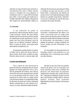 Amazônia: Ci. & Desenv., Belém, v. 6, n. 12, jan./jun. 2011. 136
5.8 CONSUMO
O uso tradicional do jambu na
gastronomia cultural paraense destina-se para
o pato-no-tucupi e tacacá. Nas duas últimas
décadas,além do uso de outros animais assados
em substituição ao pato, popularizou o uso do
jambu com arroz (arroz paraense), pizza de
jambu, uso na indústria cosmética, salada de
folha in natura de jambu, como picles pelos
descendentes de japoneses, etc.
Para preparar o jambu devem-se separar
as folhas com os talos mais tenros, lavar em
água corrente várias vezes, escaldar em água
fervente, deixar escorrer e reservar. Após este
pré-cozimento, retira o “gosto do mato”,
ocorrendo o amolecimento das folhas e do
caule e está pronto para ser usado como
insumo básico de diversos pratos.As folhas de
jambu pré-cozidas além de atender a demanda
de restaurantes, são destinadas a acatar
pedidos de parentes e amigos residentes em
outros estados do País, facilitando o seu
transporte.
Há necessidade do desenvolvimento de
tecnologia visando o pré-cozimento ou a sua
desidratação com a conservação, para atender
mercados distantes.
colocado em água fervente para promover o
murchamento dos talos e folhas, deixam
escorrer e embalam em sacos plásticos. O
rendimento é de 6 a 7 maços (R$ 0,25/maço)
para obter 1 kg de jambu pré-cozido que é
vendido a R$ 6,00 a R$ 7,00/kg.A despeito da
alta margem de comercialização, implica na
utilização de três pessoas para preparar 50 kg
e a despesa com gás, uma vez que o uso de
lenha tende a contaminá-lo com detritos de
carvão e cinza. O mercado do jambu pré-cozido
destina-se a grandes restaurantes, reduzindo-
se com isso a utilização de mão de obra para
ao preparo dos maços de jambu.
6 CUSTO DE PRODUÇÃO
Para o cálculo do custo operacional do
plantio de jambu foi considerado para um hectare
dispostos em canteiro padrão de 1,20 m x 25 m
(30 m2), perfazendo 192 canteiros, com 5.760 m2
de área útil. Estes seriam separados entre si de 0,80
m e as ruas principais seriam de 2 metros a cada
intervalo de 25 metros tanto no sentido vertical
como horizontal.Adotou-se a produtividade média
de 250 maços de jambu por canteiro, totalizando
48.000, considerando um ciclo produtivo de 2
meses a 2,5 meses, efetuando rotação de plantio.
Ressalta-se que não existe um produtor
exclusivo de jambu, mas em associação com
outras olerícolas, onde ocorre a diluição das
despesas com depreciação de pequenos
equipamentos (enxadas, pás, carrinho de mão,
etc.), utilização de adubação residual, mão de
obra, moto-bomba e energia elétrica. Ocorrem
algumas variações neste orçamento
dependendo da escala do plantio e dos insumos
utilizados.
 