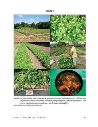 141Amazônia: Ci. & Desenv., Belém, v. 6, n. 12, jan./jun. 2011.
ANEXO 1
Figura 1 - Na parte superior: horta periurbana de pequeno produtor em Santa Izabel do Pará e inflorescência
de jambu. Na parte do meio canteiro plantado e arranquio de jambu para comercialização. Na parte
inferior maços de jambu comercializado e cuia de tacacá (agosto 2011).
Fotos: Antônio José Elias Amorim de Menezes.
 