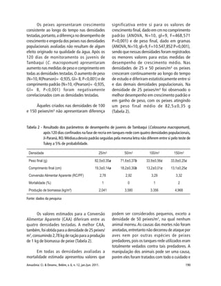 Amazônia: Ci. & Desenv., Belém, v. 6, n. 12, jan./jun. 2011. 190
Os peixes apresentaram crescimento
consistente ao longo do tempo nas densidades
testadas,portanto,a diferença no desempenho de
crescimento e engorda dos peixes nas densidades
populacionais avaliadas não resultam de algum
efeito originado na qualidade da água. Após os
120 dias de monitoramento os juvenis de
Tambaqui (C. macropomum) apresentaram
aumento nas medidas de peso e comprimento em
todas as densidades testadas.O aumento de peso
(N=10, R(Pearson)= -0,935, Gl= 8, P<0,001) e de
comprimento padrão (N=10, r(Pearson)= -0,935,
Gl= 8, P<0,001) foram negativamente
correlacionados com as densidades testadas.
Àqueles criados nas densidades de 100
e 150 peixes/m³ não apresentaram diferença
significativa entre si para os valores de
crescimento final, dado em cm no comprimento
padrão (ANOVA, N=10, gl=9, F=468,571
P=0,001) e de peso final, dado em gramas
(ANOVA,N=10,gl=9,F=10.547,852 P=0,001),
sendo que nessas densidades foram registrados
os menores valores para estas medidas de
desempenho de crescimento médio. Nas
densidades de 25 e 50 peixes/m³ os peixes
cresceram continuamente ao longo do tempo
de estudo e diferiram estatisticamente entre si
e das demais densidades populacionais. Na
densidade de 25 peixes/m³ foi observado o
melhor desempenho em crescimento padrão e
em ganho de peso, com os peixes atingindo
um peso final médio de 82,5±0,35 g
(Tabela 2).
Tabela 2 - Resultado dos parâmetros de desempenho de juvenis de Tambaqui (Colossoma macropomum),
após 120 dias confinados na fase de recria em tanques-rede com quatro densidades populacionais,
Ji-Paraná, RO. Médias±desvio padrão seguidas pela mesma letra não diferem entre si pelo teste de
Tukey a 5% de probabilidade.
Fonte: dados da pesquisa
Os valores estimados para a Conversão
Alimentar Aparente (CAA) diferiram entre as
quatro densidades testadas. A melhor CAA,
também, foi obtida para a densidade de 25 peixes/
m3
, consumindo 2,78 kg de ração para a produção
de 1 kg de biomassa de peixe (Tabela 2).
Em todas as densidades avaliadas a
mortalidade estimada apresentou valores que
podem ser considerados pequenos, exceto a
densidade de 50 peixes/m3
, na qual nenhum
animal morreu.As causas das mortes não foram
anotadas,entretanto não decorreu de ataque por
aves nem por outras espécies de peixes
predadores,pois os tanques-rede utilizados eram
totalmente vedados contra tais predadores. A
manipulação dos animais pode ser uma causa,
porém eles foram tratados com todo o cuidado e
 