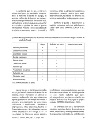 Amazônia: Ci. & Desenv., Belém, v. 6, n. 12, jan./jun. 2011. 24
A castanha que chega ao mercado
internacional passa por verdadeira maratona,
desde o momento da coleta dos ouriços, da
amontoa na floresta, da lavagem nos igarapés,
ao transporte por hidrovias e estradas de chão,
até finalmente ser beneficiada, e de novo ganhar
as estradas e porões de navio e portos
internacionais. Portanto,o tempo passado desde
a coleta ao consumo, sugere, verdadeira
competição entre os vários microorganismos
presentes na castanha, como os que a seguir
descrevemos sem, no entanto, nos determos nos
fungos os quais podem,também,estar presentes.
Conforme o Quadro 1, discriminamos as
bactérias isoladas do ouriço, da amêndoa com
casca e sem casca (MARTINS JUNIOR et al.,
2009).
Quadro 1 - Microorganismos isolados de ouriço e amêndoa com e sem casca da castanha-do-pará oriundas do
estado do Amapá.
Fonte: MARTINS JUNIOR et al. (2009).
Apesar de que as bactérias encontradas
no ouriço,Klebsiella pneumoniaie,Enterobacter
cloacae, Serratia marcescens são ubíquas na
natureza, também têm sido reportadas como
agentes patogênicos em doenças no homem e
animais, principalmente ao adquirirem
resistência a antibióticos comumente
empregados na rotina terapêutica. Relativo ao
Enterococcus durans e Kocuria varians, mesma
forma encontrados no ouriço, não são
reportados na literatura como agentes
envolvidos em processos patológicos, quer seja
do homem ou de animais,ao contrário,postula-
se aqui neste trabalho que estes
microorganismos estejam envolvidos no
processo de maturação do ouriço e da própria
castanha (MARTINS JUNIOR et al., 2009).
As amêndoas com casca apresentaram
microbiota bacteriana distinta da encontrada no
ouriço, ainda que haja microorganismos comuns.
Os organismos encontrados na amêndoa com
 
