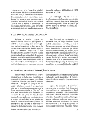 Amazônia: Ci. & Desenv., Belém, v. 6, n. 12, jan./jun. 2011. 26
cestas de vegetais secos.Em geral os castanhais
estão distantes dos centros de beneficiamento,
muitas das vezes, o caboclo atravessa enormes
distâncias a pé, seguindo o caminho em cursos
d’água, em canoas a remo ou motorizada e,
finalmente, chegam às estradas empoeiradas.
Durante todo o trajeto as amêndoas são
expostas aos mais variados inóculos,agravando-
se, ainda mais, ao serem lavadas as castanhas e
ensacadas molhadas (KANZAKI et al., 2009;
RIBEIRO et al., 2009).
As instalações físicas onde são
beneficiadas as castanhas estão nos recônditos
da floresta, portanto, ainda, não se pode esperar
tratamento de primeiro mundo ao produto que
deverão alcançar os mercados da Europa, Ásia e
América do Norte.
Embora o ouriço pareça ser
hermeticamente encerrado protegendo as
amêndoas, na realidade possui comunicações
com seu interior, podendo-se dizer que a rica
polpa branca comestível da castanha respira. O
que na verdade postula-se é que
microorganismos já anteriormente citados,
possam metabolizar o rico substrato da amêndoa,
liberando metabólitos secundários envolvidos no
amadurecimento, não só da amêndoa, como do
fruto como um todo, envolvendo desde o ouriço,
contribuindo, também, ao seu amadurecimento.
3.1 ANATOMIA DA CASTANHA E A CONTAMINAÇÃO
Este fato pode ser corroborado ao se
encontrar, ainda, os ouriços verdes na árvore,
distinto daqueles amadurecidos, no solo da
floresta, apresentando seu tecido já bastante
enrijecido.Ao vermos as castanhas,que parecem
hermeticamente isoladas, no entanto, nosso
trabalho demonstra que há passagem do inóculo
microbiano para o interior delas. Tomando em
conta o descrito sobre a coleta e transporte da
castanha até os locais de beneficiamento,é muito
fácil compreender a presença de microorganimos
patogênicos na amêndoa (KANZAKI et al., 2009).
3.2 FORMAS DE CONTROLE DA CONTAMINAÇÃO MICROBIANA
Obviamente é possível reduzir a carga
microbiana da castanha, mas não eliminá-la
totalmente visto que o processo de coleta e
transporte compõe a cultura do caboclo
amazônida. A lavagem nos igarapés tem por
objetivo selecionar aquelas de boa qualidade,
visto que as castanhas estragadas ou como se
diz no linguajar amazônida, as “chochas”, são
mais leves e flutuam na água, facilitando sua
separação das boas, que são mais densas e
pesadas. Práticas podem ser exercitadas como:
a secagem das amêndoas, a não lavagem em
natureza, diminuir o tempo em que elas são
amontoadas na floresta e, melhoria nos
transportes tanto nas hidrovias como rodovias.
Os locais de beneficiamento,também,podem ser
melhorados quanto às condições de higiene e
modernização dos aparelhos de processamento
da castanha.
Apesar das cooperativas de extrativismo
na Amazônia terem dado forte impulso ao
desenvolvimento socioeconômico local,
protegendo o amazônida coletor, orientando-o,
instruindo-o e fazendo-o conhecer seus direitos
e,também,deveres.Isto ainda é insuficiente,para
superar todos os problemas que cercam a
atividade extrativista, em particular da castanha.
Possivelmente, a maior participação das
entidades governamentais, incluindo o Instituto
 