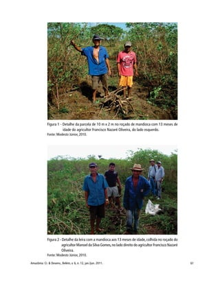 61Amazônia: Ci. & Desenv., Belém, v. 6, n. 12, jan./jun. 2011.
Figura 1 - Detalhe da parcela de 10 m x 2 m no roçado de mandioca com 13 meses de
idade do agricultor Francisco Nazaré Oliveira, do lado esquerdo.
Fonte: Modesto Júnior, 2010.
Figura 2 - Detalhe da leira com a mandioca aos 13 meses de idade, colhida no roçado do
agricultor Manoel da Silva Gomes,no lado direito do agricultor Francisco Nazaré
Oliveira.
Fonte: Modesto Júnior, 2010.
 