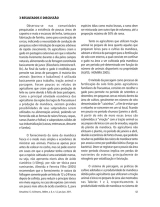 Amazônia: Ci. & Desenv., Belém, v. 6, n. 12, jan./jun. 2011. 62
3 RESULTADOS E DISCUSSÃO
Observou-se nas comunidades
pesquisadas a existência de poucas áreas de
capoeira e mata e escassez de lenha, tanto para
fabricação de farinha, como para construção de
cercas, indicando a necessidade de condução de
pesquisas sobre introdução de espécies arbóreas
de rápido crescimento. Os agricultores criam o
gado em pastagens extensivas em que o rebanho
transita livremente durante o dia pelos campos
naturais,alimentando-se de forragem constituída
basicamente de junco (Eleocharis interstincta R.
Br.). Ao final da tarde o gado é recolhido para
pernoite nas áreas de parcagem. A maioria dos
animais (bovinos e bubalinos) é utilizada
basicamente para trabalho, tração animal e
parcagem. Foram poucos os relatos de
agricultores que criam gado para produção de
leite ou carne devido à falta de boas pastagens.
Como a principal atividade econômica dos
agricultores da região dos lagos de Tracuateua é
a produção de mandioca, existem grandes
possibilidades de seus subprodutos serem
utilizados na alimentação animal, podendo ser
fornecida sob as formas de raízes frescas,raspas,
ramas (hastes e folhas) e subprodutos sólidos de
sua industrialização (cascas,entrecascas,descarte
e farelos).
O fornecimento da rama da mandioca
fresca é o modo mais simples e econômico de
ministrar aos animais. Precisa-se apenas picar
antes de colocar no cocho, mas só pode ocorrer
em casos em que o produtor tenha certeza de
que a espécie cultivada é uma variedade mansa,
ou seja, não apresenta níveis altos de ácido
cianídrico (<50mg), por não ser tóxica para
ruminantes. Almeida e Ferreira Filho (2005)
recomendam que o fornecimento in natura da
folhagem somente pode ser feito de 12 a 24 horas
depois de colhida, para reduzir o princípio tóxico
em níveis seguros,no caso de espécies com níveis
um pouco mais altos de ácido cianídrico. E, para
espécies tidas como muito bravas, a rama deve
ser misturada com outro tipo de volumoso, até a
proporção máxima de 50% de rama.
Tanto os agricultores que utilizam tração
animal no preparo de área quanto aqueles que
preparam leiras para o cultivo da mandioca,
adotam a técnica da parcagem para a fertilização
do solo com esterco, a qual consiste em confinar
o gado na área a ser cultivada pela mandioca
por um período pré-determinado em função do
número de animais disponíveis na propriedade
(ALVES; HOMMA 2005).
O método da parcagem como processo de
fertilização do solo feito pelos agricultores
familiares de Tracuateua, consiste em recolher o
gado para pernoite no período de setembro a
dezembro,em pequenas cercas móveis dentro da
área de cultivo, geralmente em número de oito
denominadas de“caixinhas”,a fim de evitar que
o rebanho se concentre em um só local, ficando
em pousio no período chuvoso (janeiro a abril).
A partir do mês de maio essas áreas são
submetidas à “viração” com a tração animal ou
ao preparo de leiras com uso de enxadas,seguida
do plantio da mandioca. Os agricultores não
efetuam o plantio, no período de janeiro a abril,
devido à ocorrência de fortes chuvas,que poderão
resultar na podridão das raízes de mandioca tanto
por anoxia como por podridão biótica (fungo ou
bactéria). Deve-se registrar que o pousio da área
neste período chuvoso implica em perdas de
nutrientes do esterco, principalmente de
nitrogênio por volatilização e lixiviação.
O sistema de parcagem, as práticas de
cultivo adotadas e a produtividade de mandioca
obtida pelos agricultores que utilizaram a tração
animal e leiras no preparo de área são mostrados
nas Tabelas 1 e 2, respectivamente. A
produtividade média de mandioca no sistema de
 