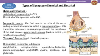 0rganization of nervous system & mechanism of synaptic transmission.pptx