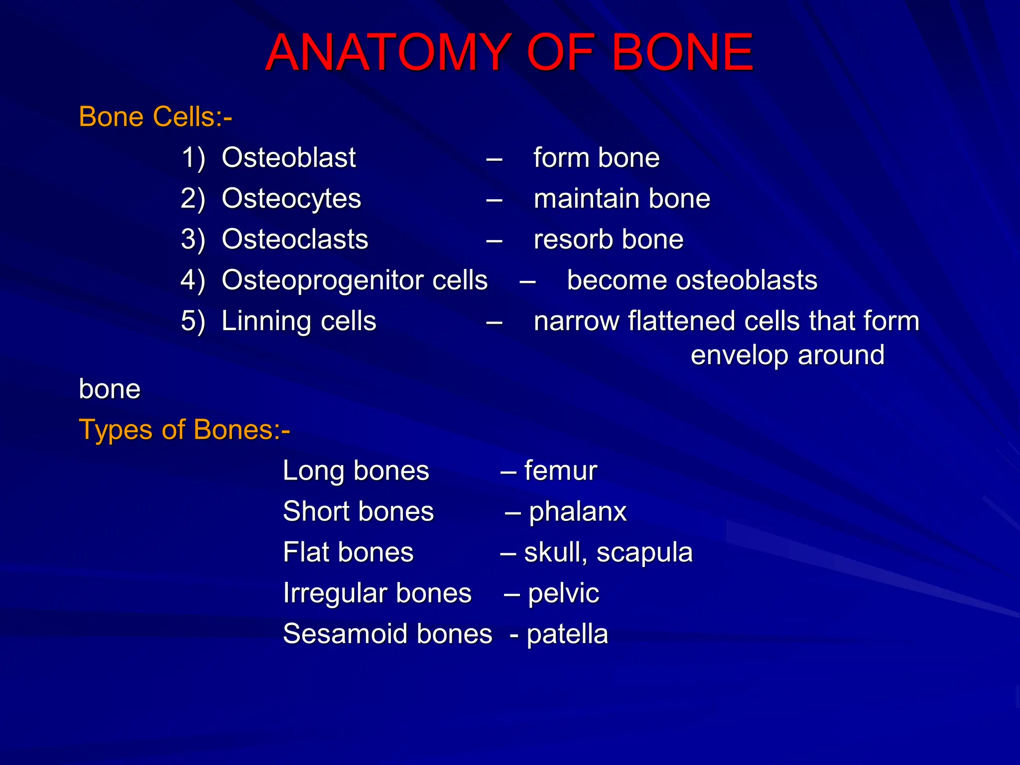 ANATOMY OF BONE
Bone Cells:-
1) Osteoblast – form bone
2) Osteocytes – maintain bone
3) Osteoclasts – resorb bone
4) Osteoprogenitor cells – become osteoblasts
5) Linning cells – narrow flattened cells that form
envelop around
bone
Types of Bones:-
Long bones – femur
Short bones – phalanx
Flat bones – skull, scapula
Irregular bones – pelvic
Sesamoid bones - patella
 