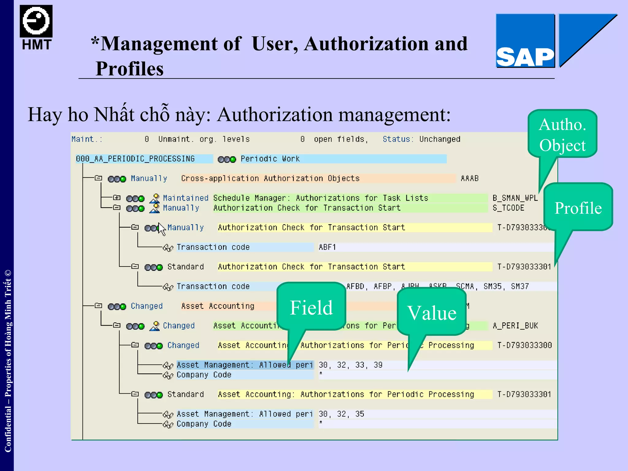 sap-basis-overview-vietnamese-ppt
