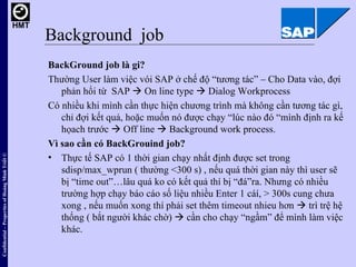 SAP BASIS Overview (Vietnamese)