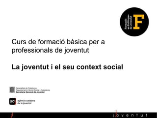 Anàlisi sociològica i polítiques de joventut Pau Serracant Curs de formació bàsica per a professionals de joventut La joventut i el seu context social 