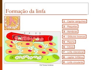 Formação da linfa 1  - Capilar sanguíneo 2  - Plaquetas 3  - Hemácias 4  – Glóbulos brancos 5  - Plasma 6  - Célula 7  – Linfa intersticial 8  – capilar linfático 9  – Linfa circulante 