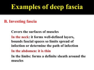 0_skin_&_fascia general anatomy bdc.pptx