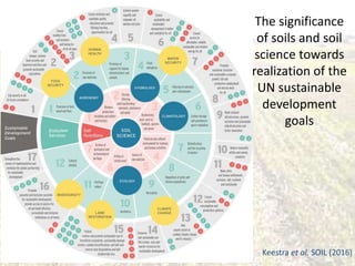 Unlocking the potential of SOC for climate action, food security and ...