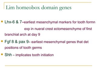 (dental basic seminar)Development of tooth with basic embryology ...