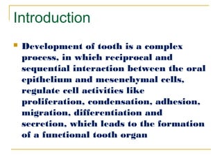 Reciprocal Tooth (dental basic seminar)Development of tooth with basic embryology ...