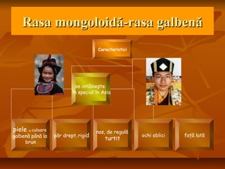 Rasa mongoloidă-rasa galbenăRasa mongoloidă-rasa galbenă
Caracteristici
piele de culoare
galbenă până la
brun
păr drept,rigid
nas, de regulă
turtit
se intâlneşte
în special în Asia
ochi oblici faţă lată
 