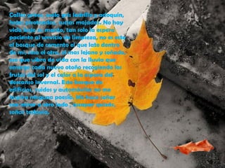 Calles grises, suelo gris ladrillo y adoquín,
hojas pisoteadas, sucias mojadas. No hay
vida bajo su manto, tan solo la espera
paciente al servicio de limpieza, no es este
el bosque de cemento el que late dentro
de mi, sino el otro, el mas lejano y soñado,
ese que vibra de vida con la lluvia que
emerge cada nuevo otoño recogiendo los
frutos del sol y el calor a la espera del
descanso invernal. Este bosque de
edificios, ruidos y automóviles no me
inspira ninguna poesía. Me hace soñar
con mirar a otro lado , escapar quizás,
soñar todavía.
 