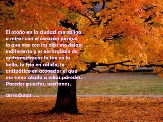 El otoño en la ciudad me obliga
a mirar con el corazón porque
lo que veo con los ojos me dejan
indiferente y es ese trabajo de
metamorfosear lo feo en lo
bello, lo frio en cálido, lo
antipático en acogedor el que
me tiene atada a estas paredes.
Paredes puertas, ventanas,
cerraduras …
 