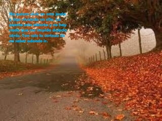 No quiero vivir en esta jaula
y sigo viviendo en ella. La
puerta esta abierta y no hay
nada que me impida dejarla
atrás. Tan solo la certeza de
no saber adonde ir.
 