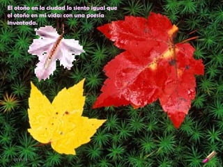 El otoño en la ciudad lo siento igual que
el otoño en mi vida: con una poesía
inventada.
08/04/14
 