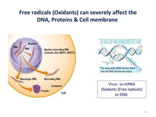 12
Free radicals (Oxidants) can severely affect the
DNA, Proteins & Cell membrane
Virus vs mRNA
Oxidants (Free radicals)
vs DNA
 