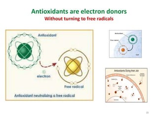 18
Antioxidants are electron donors
Without turning to free radicals
 