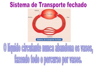 Transporte nos animais