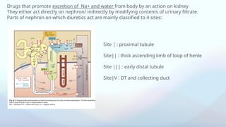 Diuretics , mechanism of action, uses and adverse effects | PPTX