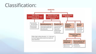 Diuretics , mechanism of action, uses and adverse effects | PPTX