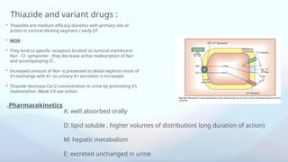 Diuretics , mechanism of action, uses and adverse effects | PPTX