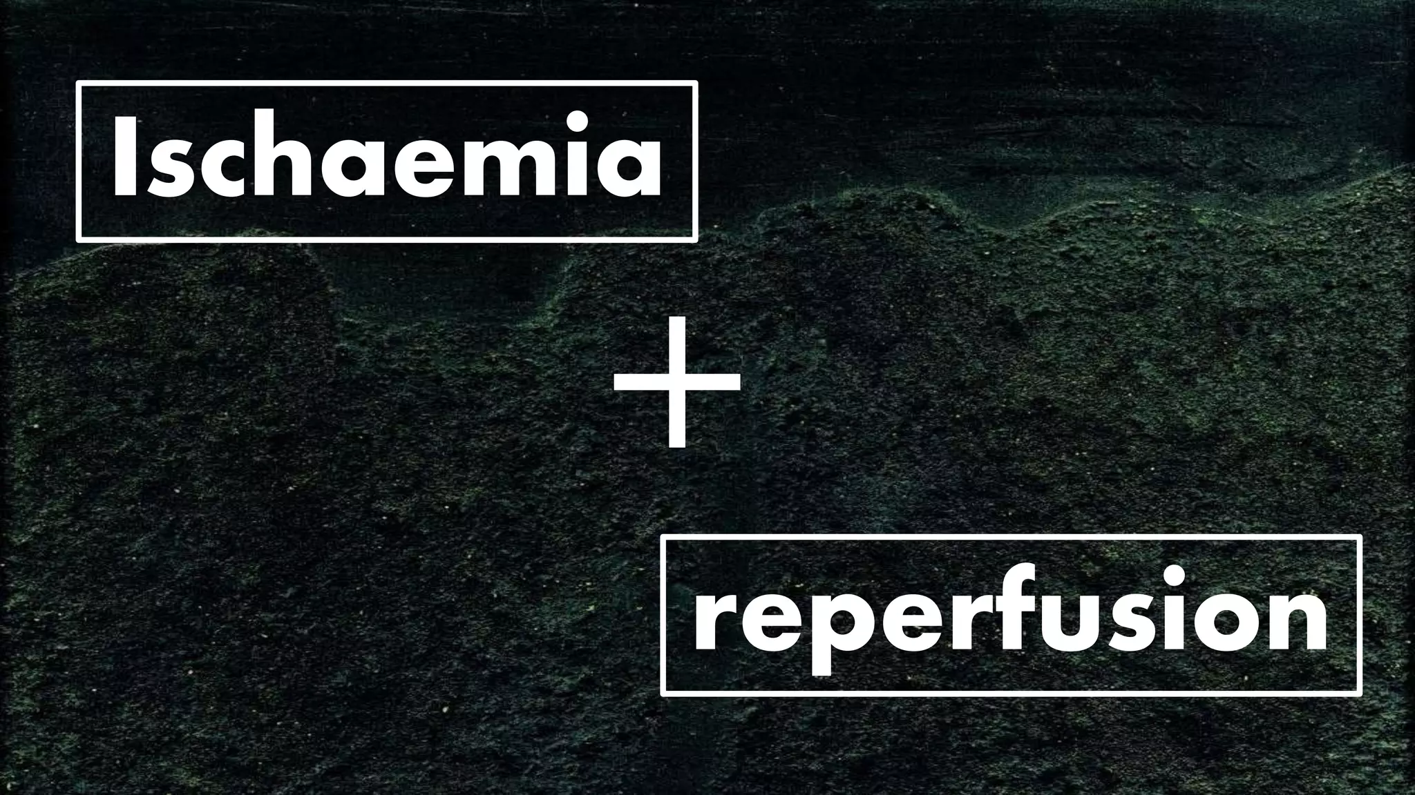 Ischaemia
reperfusion
+
 
