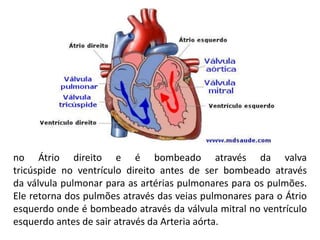 no Átrio direito e é bombeado através da valva
tricúspide no ventrículo direito antes de ser bombeado através
da válvula pulmonar para as artérias pulmonares para os pulmões.
Ele retorna dos pulmões através das veias pulmonares para o Átrio
esquerdo onde é bombeado através da válvula mitral no ventrículo
esquerdo antes de sair através da Arteria aórta.
 