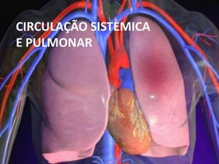 CIRCULAÇÃO SISTEMICA
E PULMONAR
 