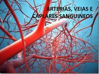ARTERIAS, VEIAS E
CAPLARES SANGUINEOS
 