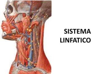 SISTEMA
LINFATICO
 