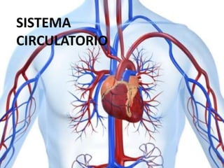 SISTEMA
CIRCULATORIO
 