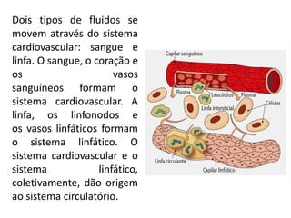 Dois tipos de fluidos se
movem através do sistema
cardiovascular: sangue e
linfa. O sangue, o coração e
os vasos
sanguíneos formam o
sistema cardiovascular. A
linfa, os linfonodos e
os vasos linfáticos formam
o sistema linfático. O
sistema cardiovascular e o
sistema linfático,
coletivamente, dão origem
ao sistema circulatório.
 