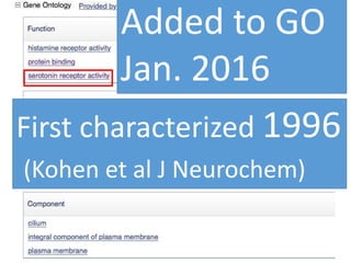 Added to GO
Jan. 2016
First characterized 1996
(Kohen et al J Neurochem)
 