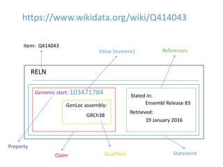 Item: Q414043
RELN
Genomic start: 103471784
GenLoc assembly:
GRCh38
Stated in:
Ensembl Release 83
Retrieved:
19 January 2016
Value (numeric)
Property
Claim Qualifiers
References
https://www.wikidata.org/wiki/Q414043
Statement
 
