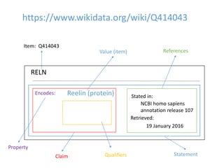 Item: Q414043
RELN
Encodes: Reelin (protein) Stated in:
NCBI homo sapiens
annotation release 107
Retrieved:
19 January 2016
Value (item)
Property
Claim Qualifiers
References
https://www.wikidata.org/wiki/Q414043
Statement
 
