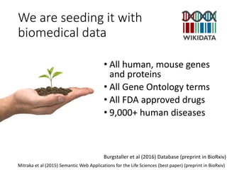We are seeding it with
biomedical data
• All human, mouse genes
and proteins
• All Gene Ontology terms
• All FDA approved drugs
• 9,000+ human diseases
Burgstaller et al (2016) Database (preprint in BioRxiv)
Mitraka et al (2015) Semantic Web Applications for the Life Sciences (best paper) (preprint in BioRxiv)
 