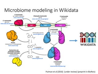 Microbiome modeling in Wikidata
Putman et al (2016) (under review) (preprint in BioRxiv)
 
