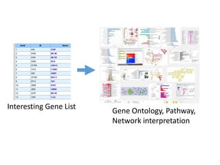 Interesting Gene List
Gene Ontology, Pathway,
Network interpretation
 